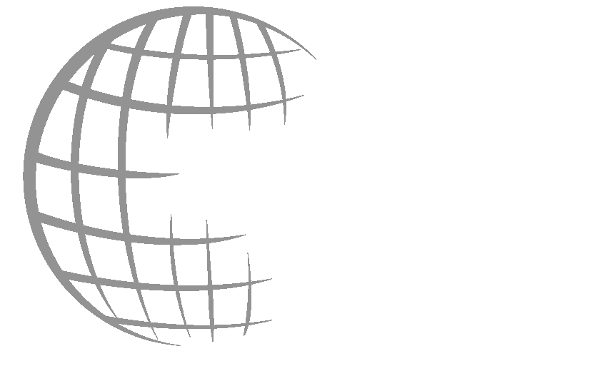 Gray wireframe globe icon with latitude and longitude lines, partially cropped on the left side