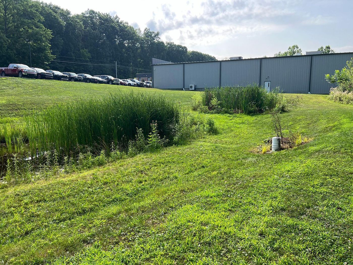 Overgrown grassy field beside an industrial building and parked cars under a bright sky