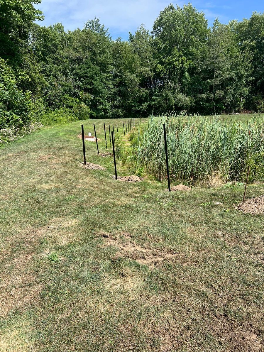 Grassy field beside a small fenced crop plot with tall plants and trees in the background