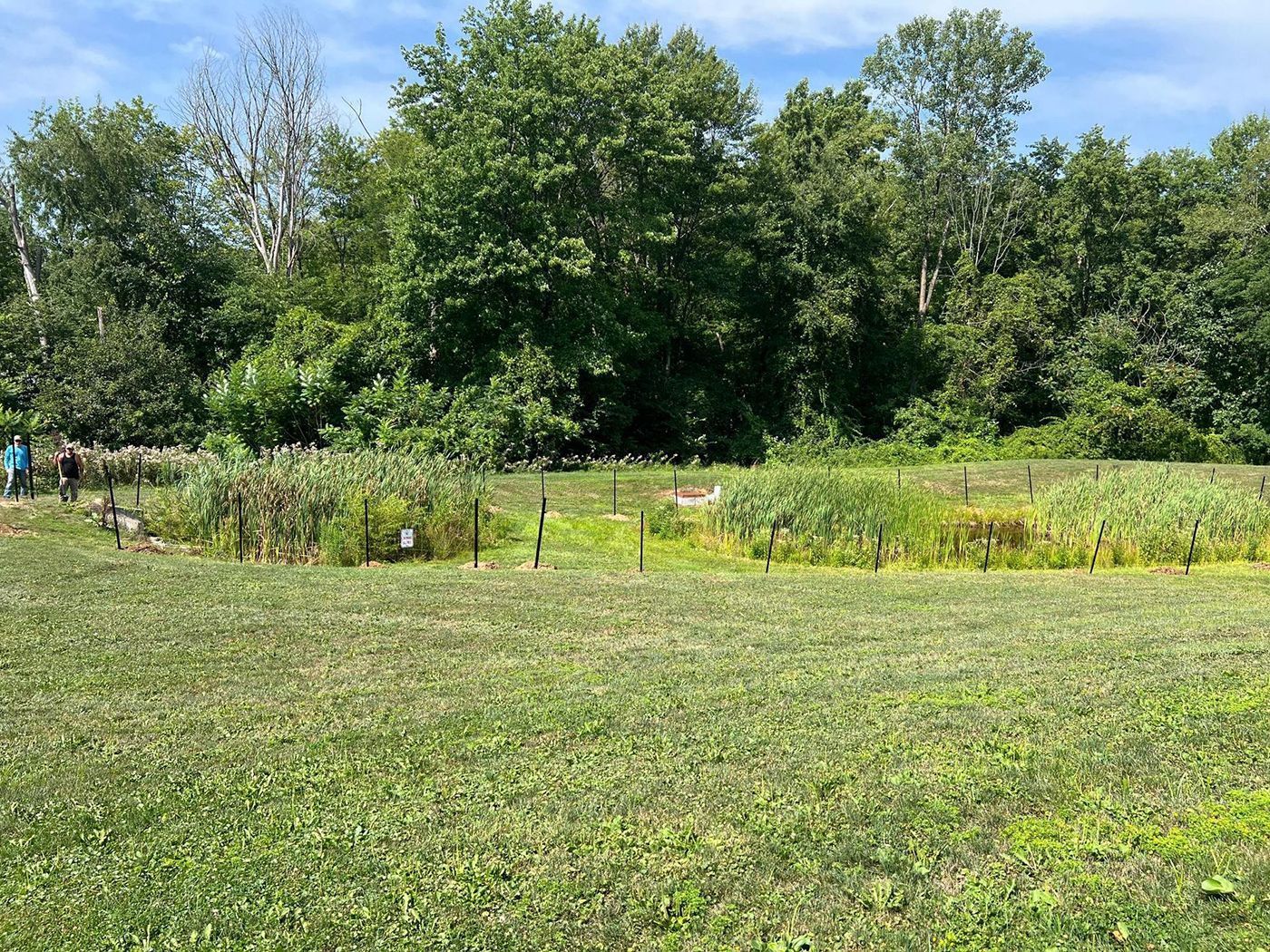 Sunny meadow with wildflowers, trees, and a small sign near a fenced garden patch