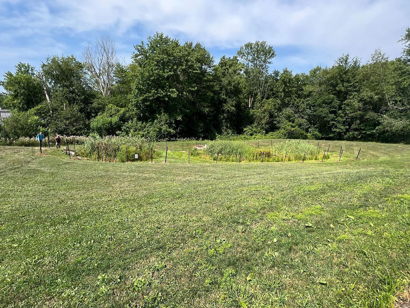 Grassy field with a small flower bed and trees under a partly cloudy blue sky