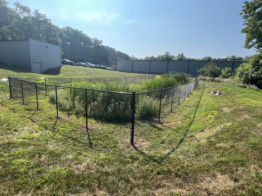 Fenced garden plots in a grassy field under bright sun, with a white building and trees in the background