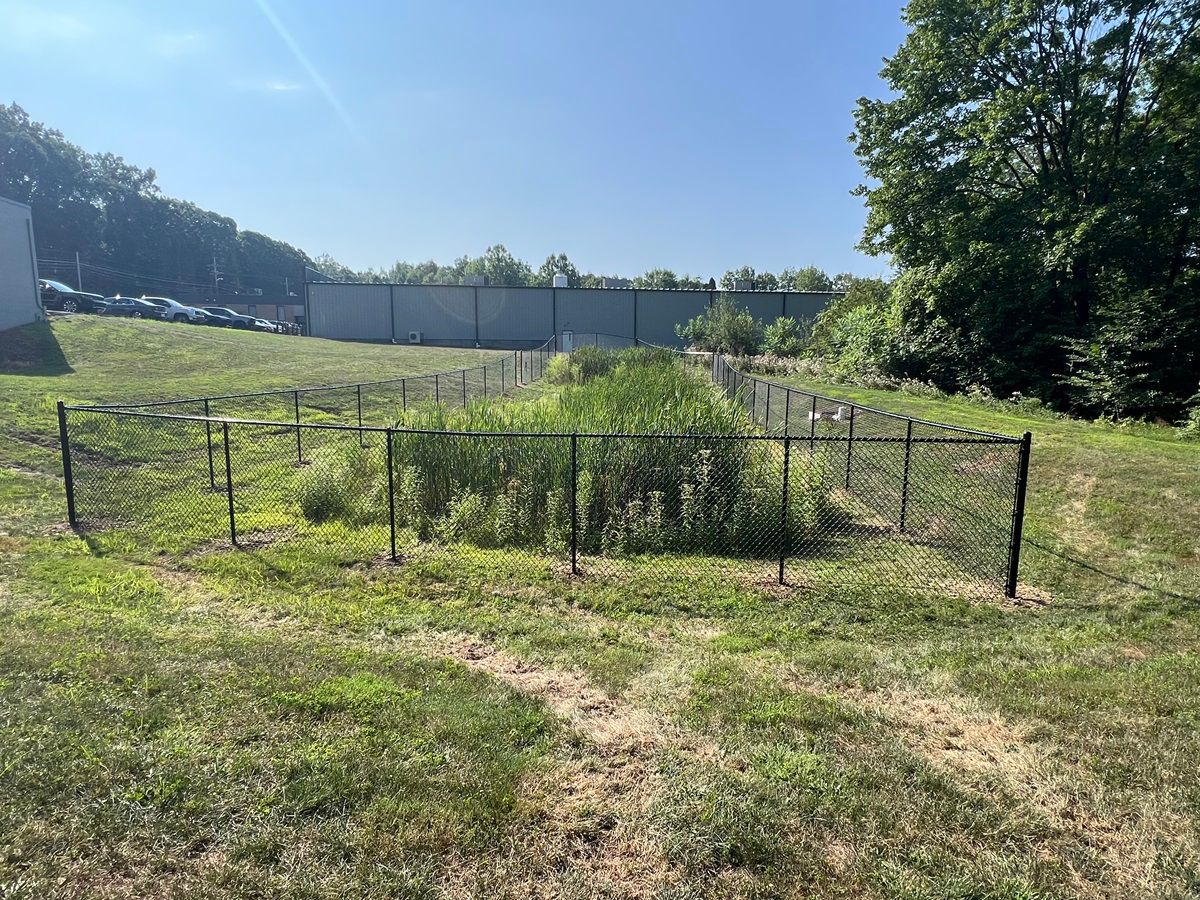 Fenced garden plots in a sunny grassy field beside trees and a long gray wall