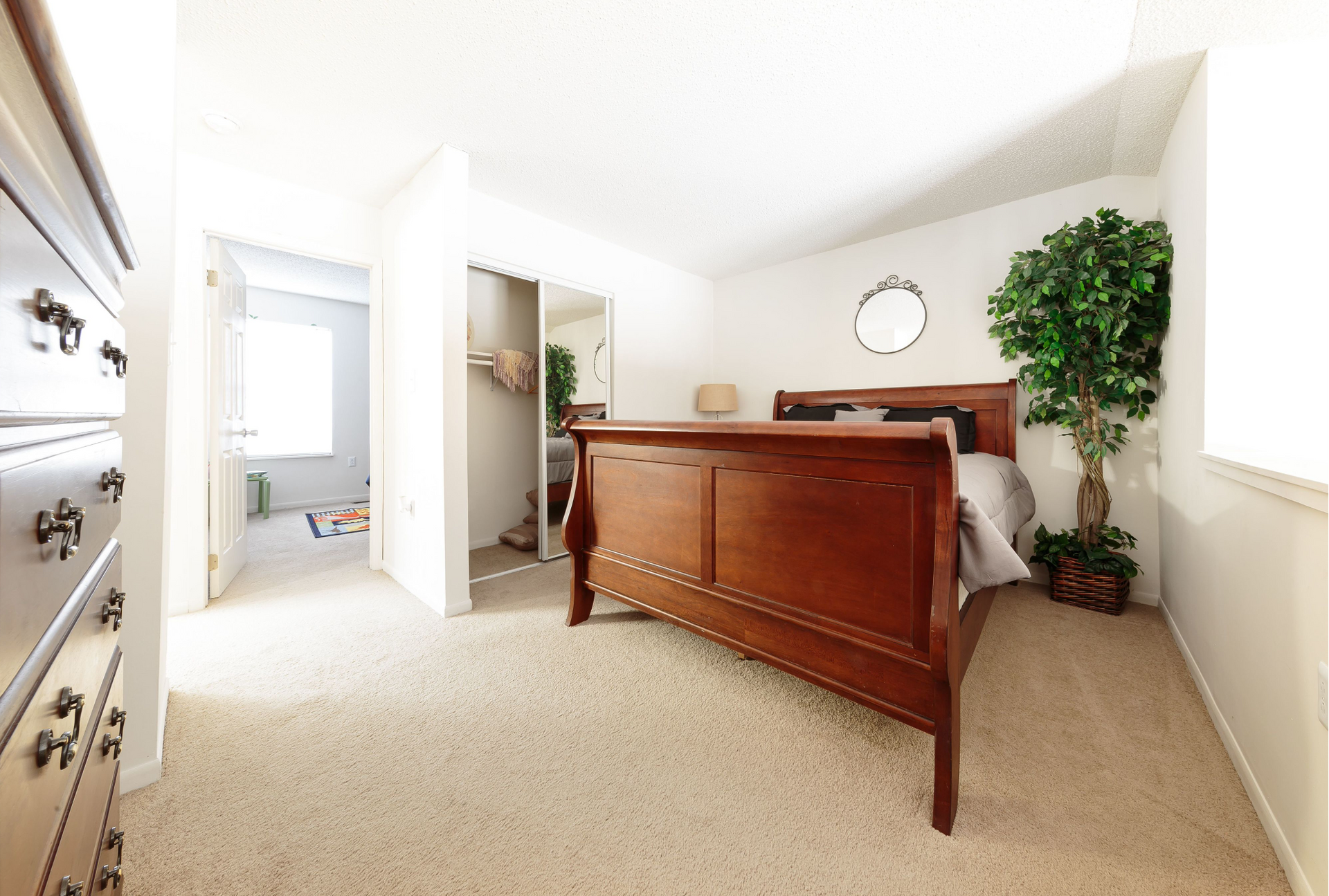 Bedroom with a dark wooden bed, dresser on the left, mirrored closet, beige carpet, and a tall plant by the window.