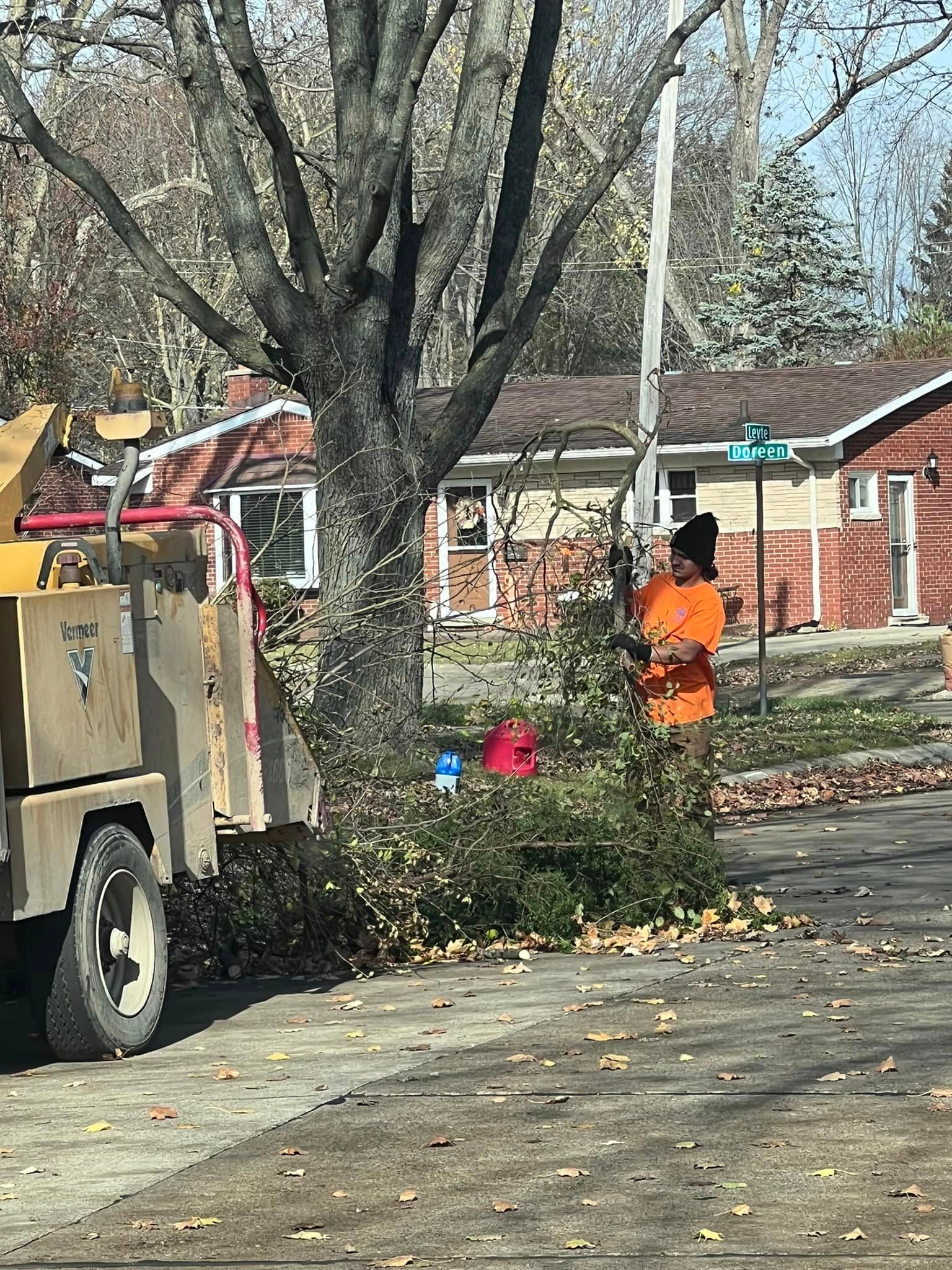 Andrew Tree Service Tree Services Canton & Garden City, MI
