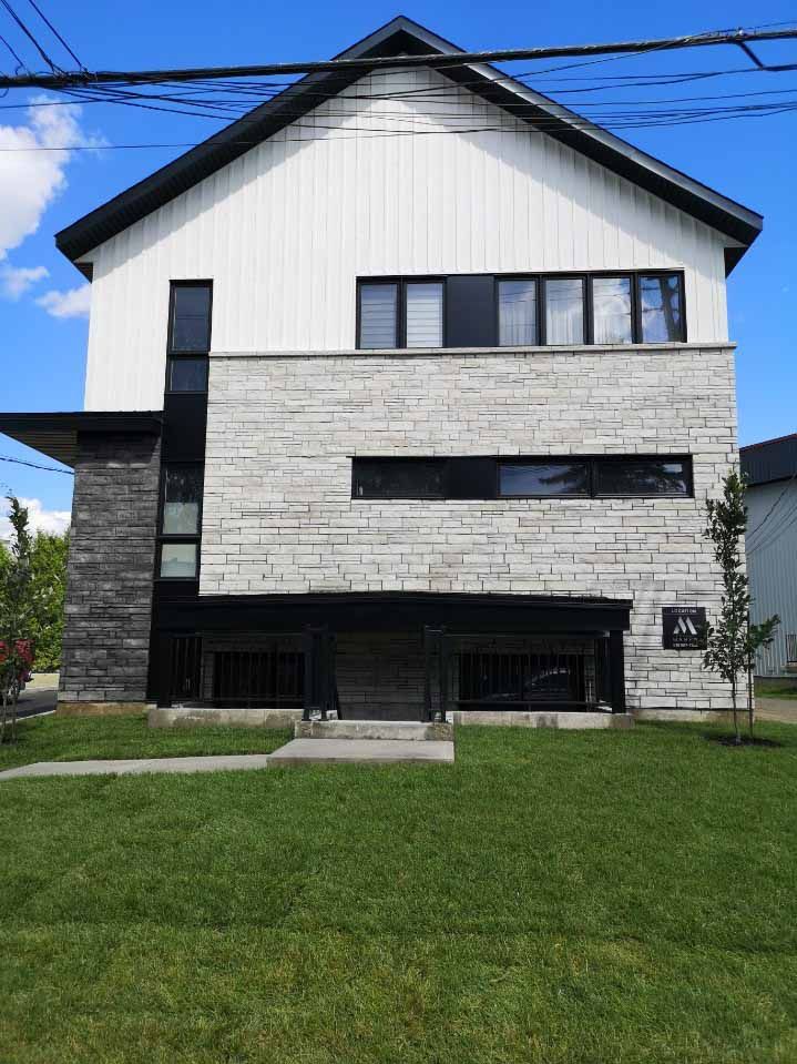 Moderne black and white house