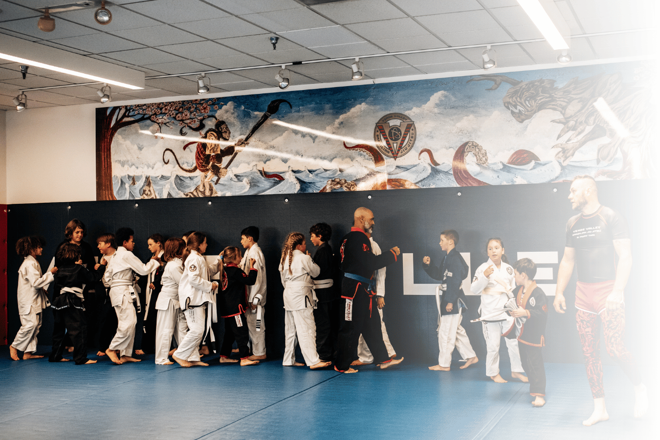 Verde Valley BJJ