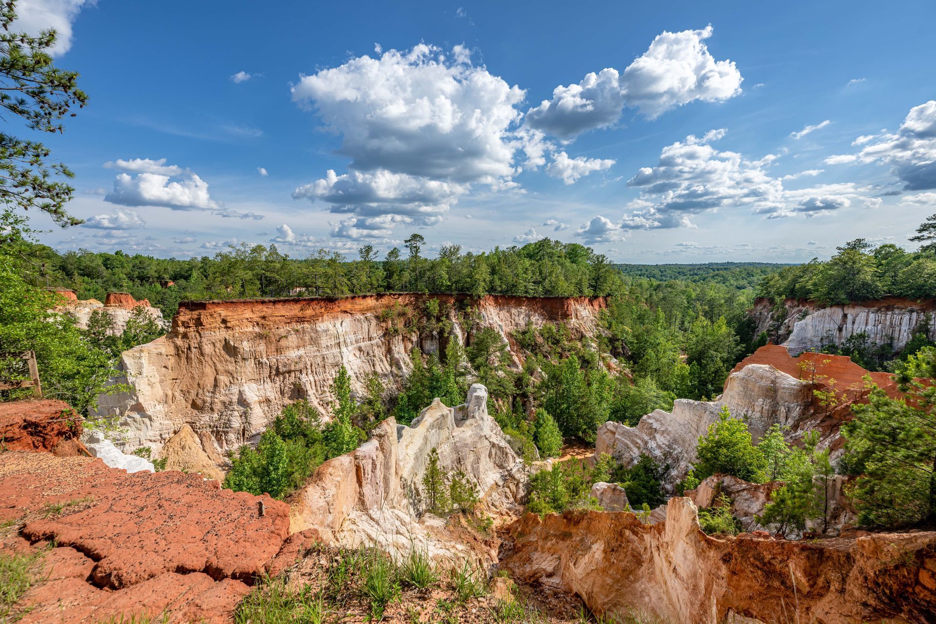 Wide canyon with red cliffs, green trees, and a bright blue sky with scattered clouds