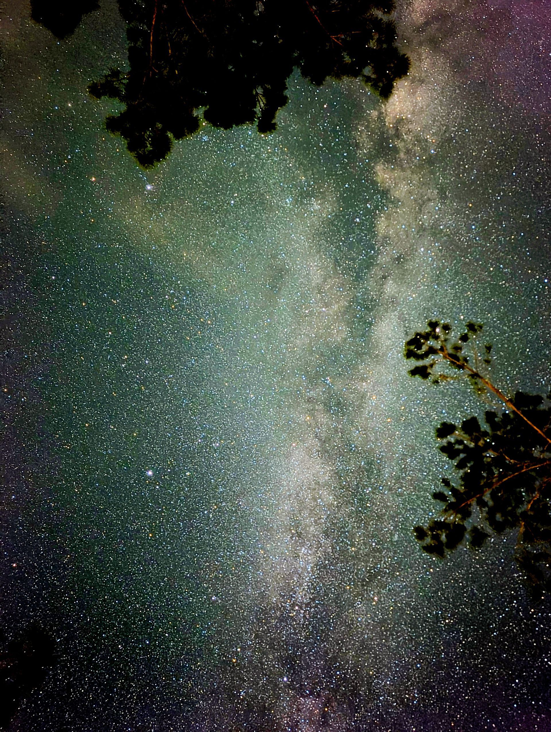 Milky Way Stargazing in Southwest Georgia Glamping resort at Clay Cosmos