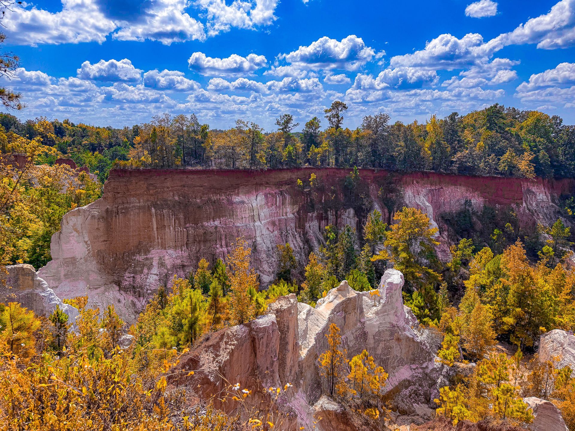 A canyon with white and red rock formations surrounded by trees under a bright blue sky with scattered clouds.