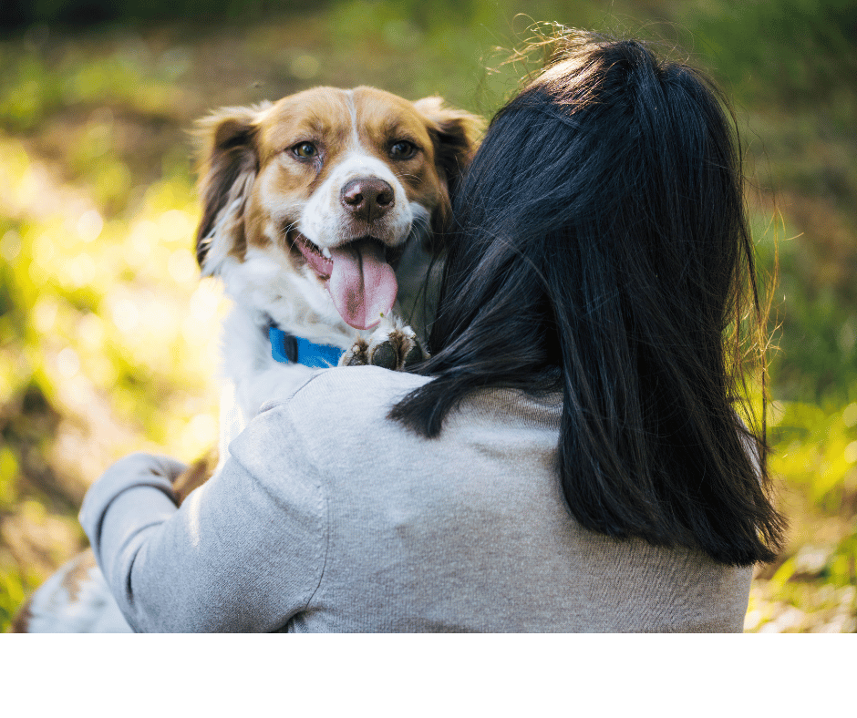 A woman holding an Australian shepherd dog. 