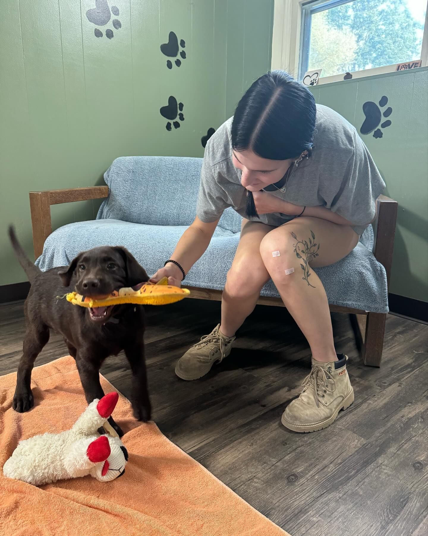 A woman is sitting on a couch playing with a dog.