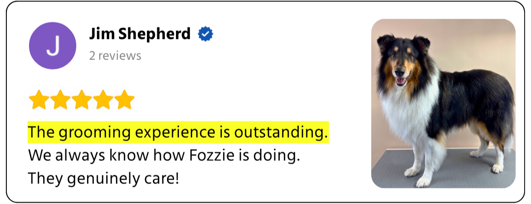 Customer review 2