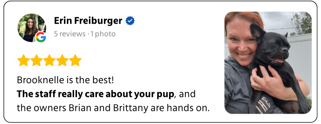 Customer review 5