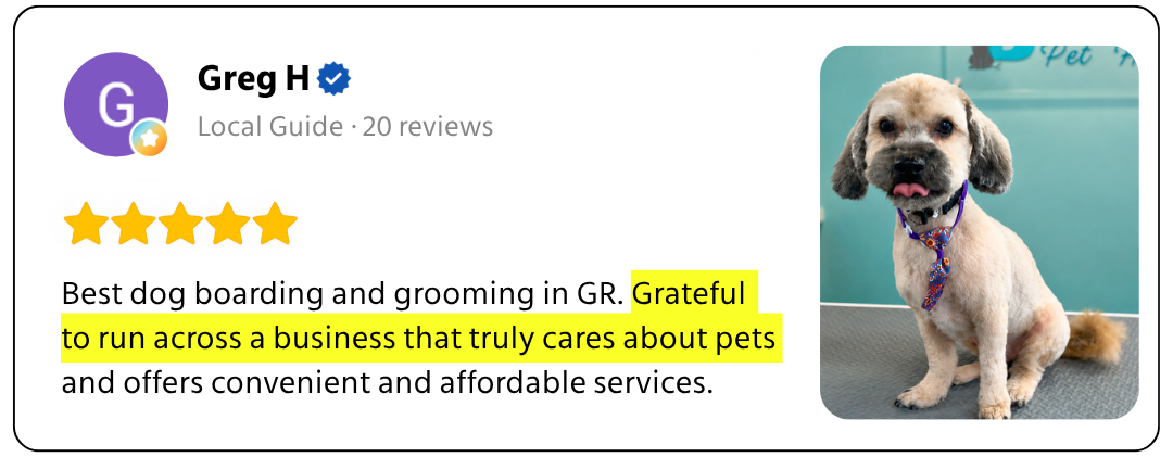 Customer review 3