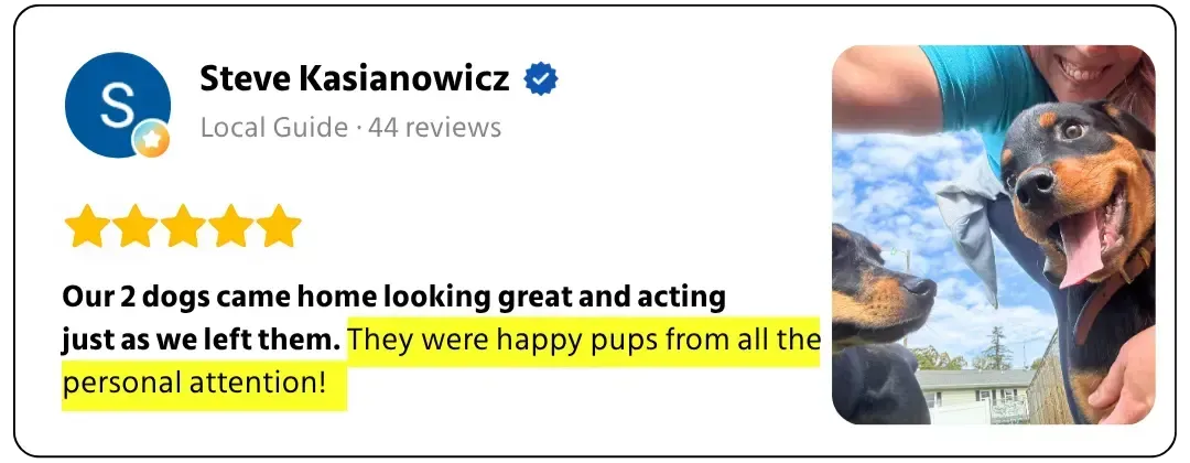 Brian dog grooming review