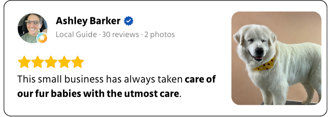 Customer review 1