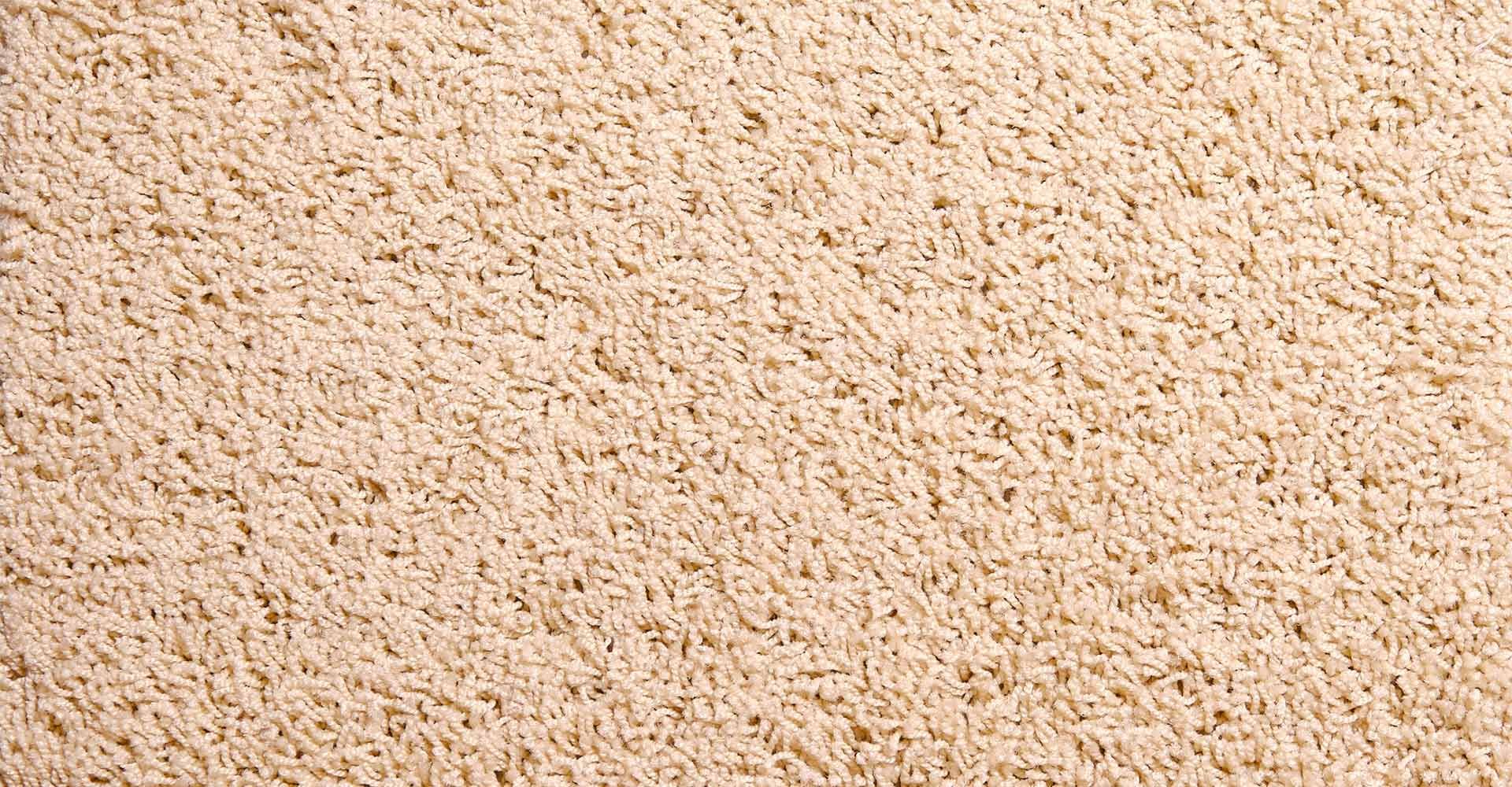 Carpet Flooring Adelaide