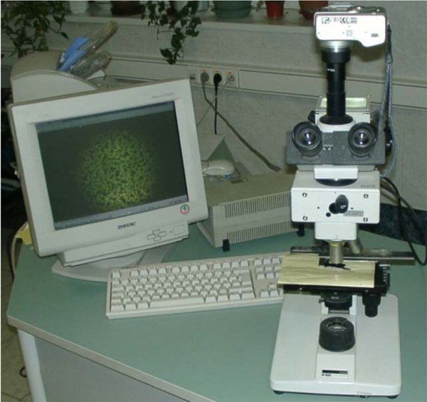 BIONORD GREEN характеристики