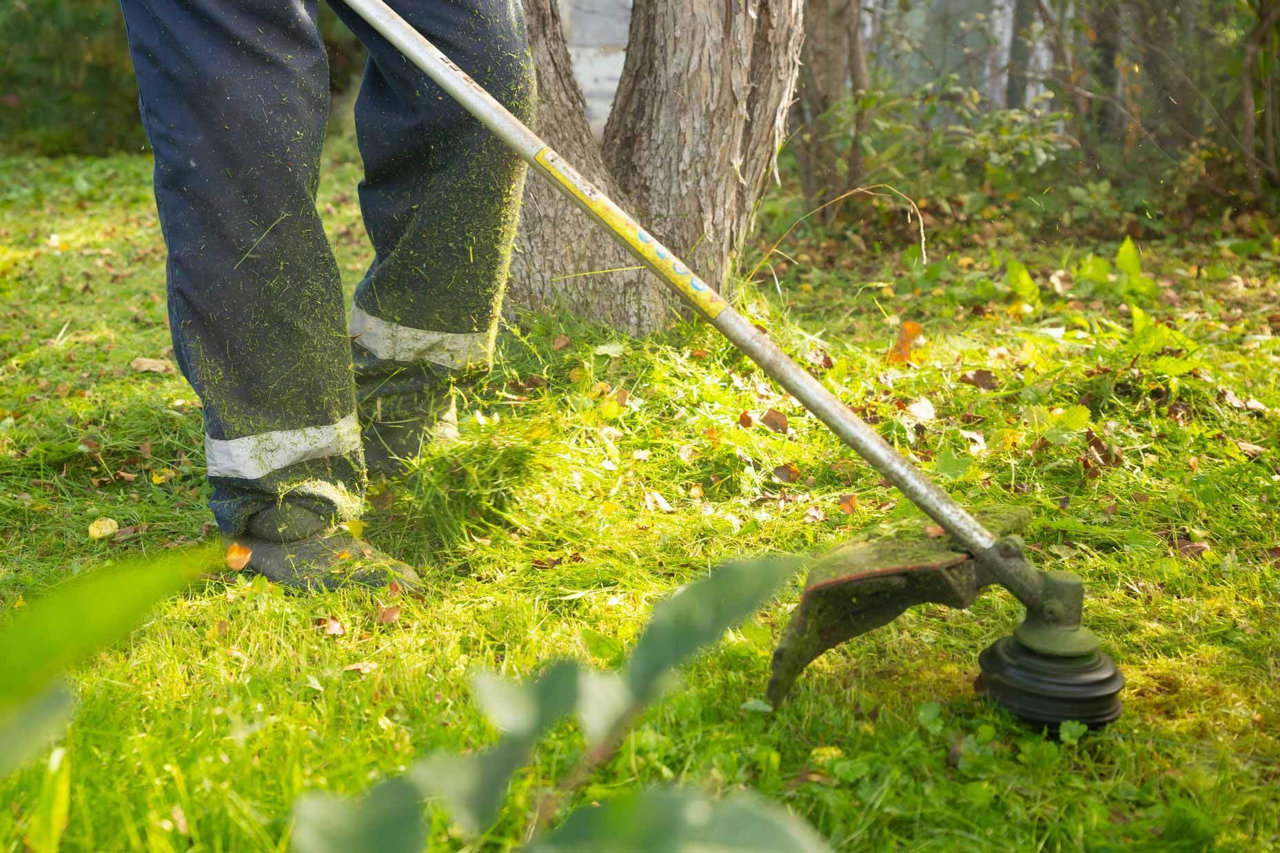 Person using a string trimmer to cut grass in a wooded yard