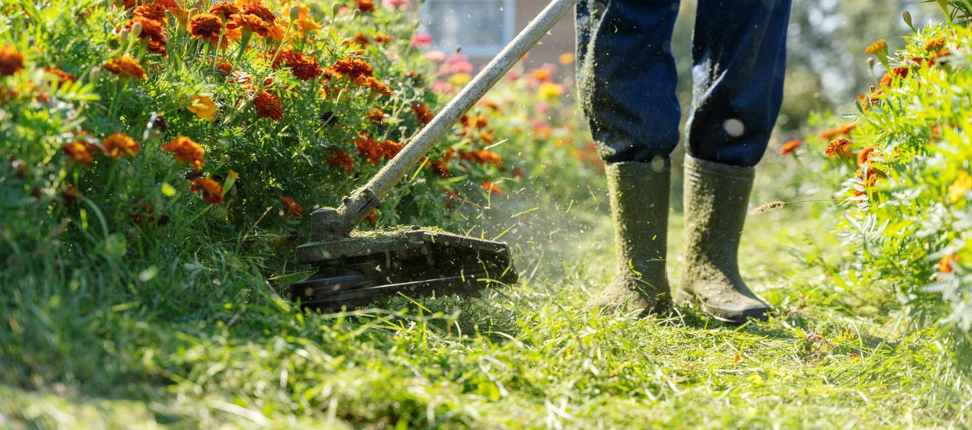 Person watering a flower bed with a hose, wearing black boots beside red and yellow blooms