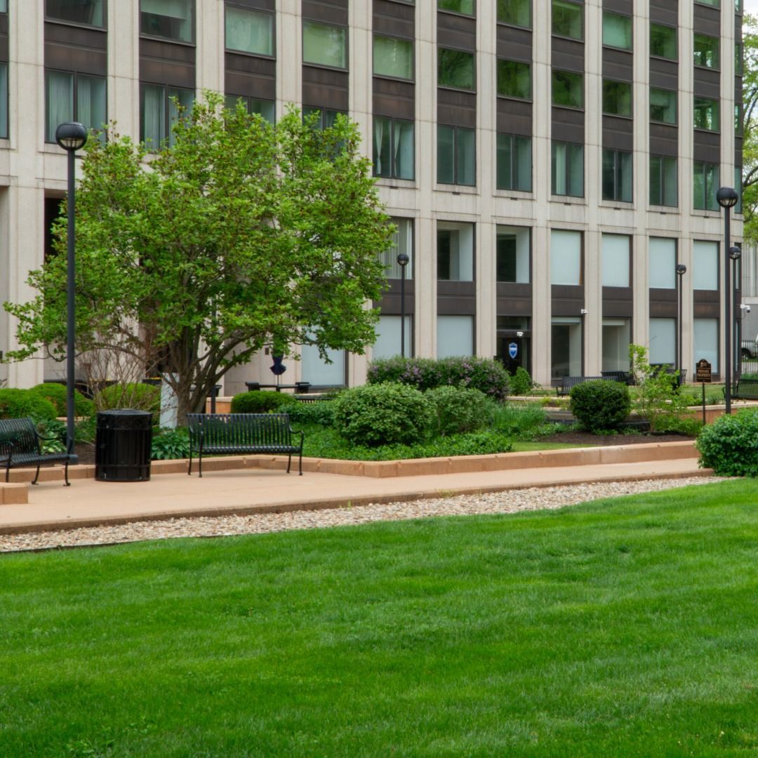 Green lawn and landscaped walkway in front of a tall office building