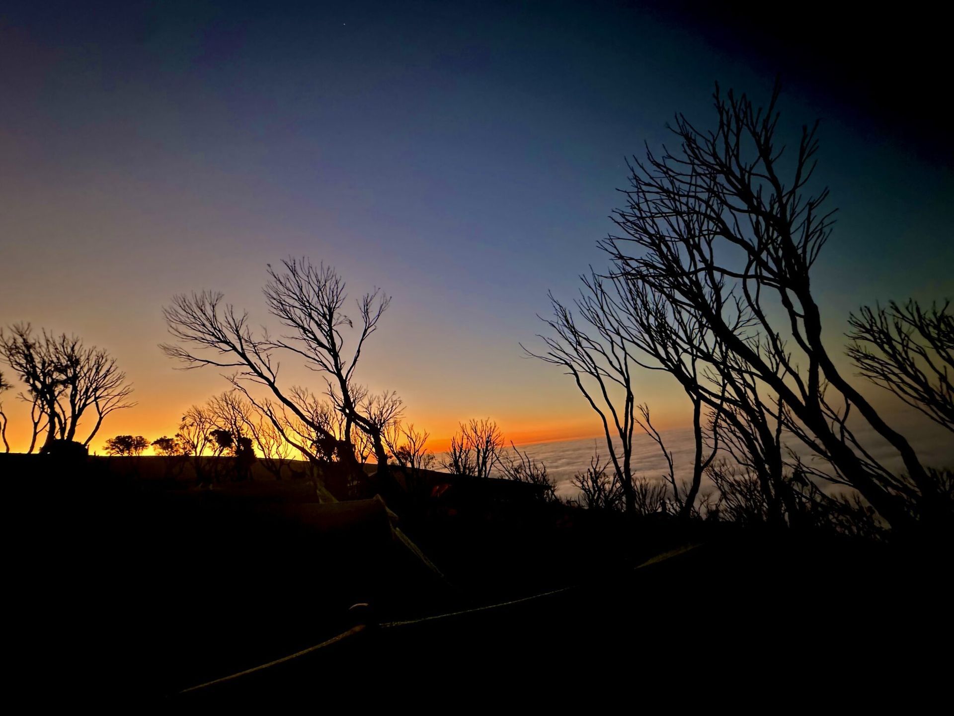 A sunset over a body of water with trees in the foreground