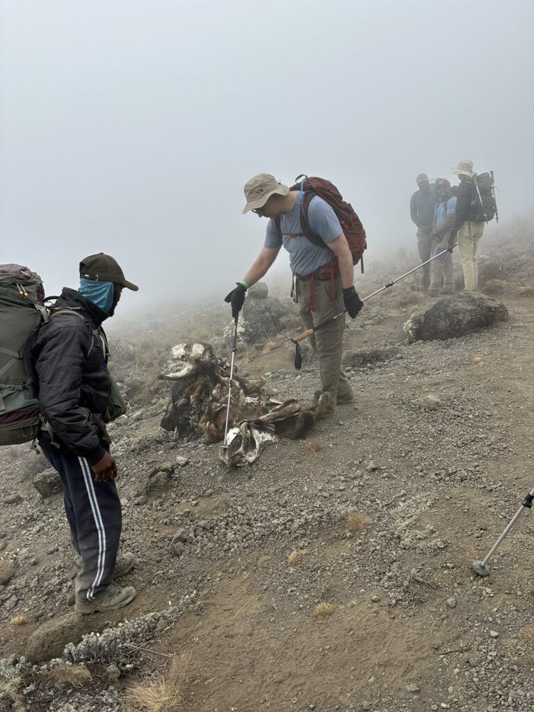 A group of people are hiking up a mountain in the fog.