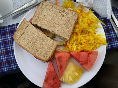 A white plate topped with a sandwich watermelon and vegetables