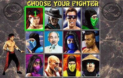 A video game where you can choose your fighter.