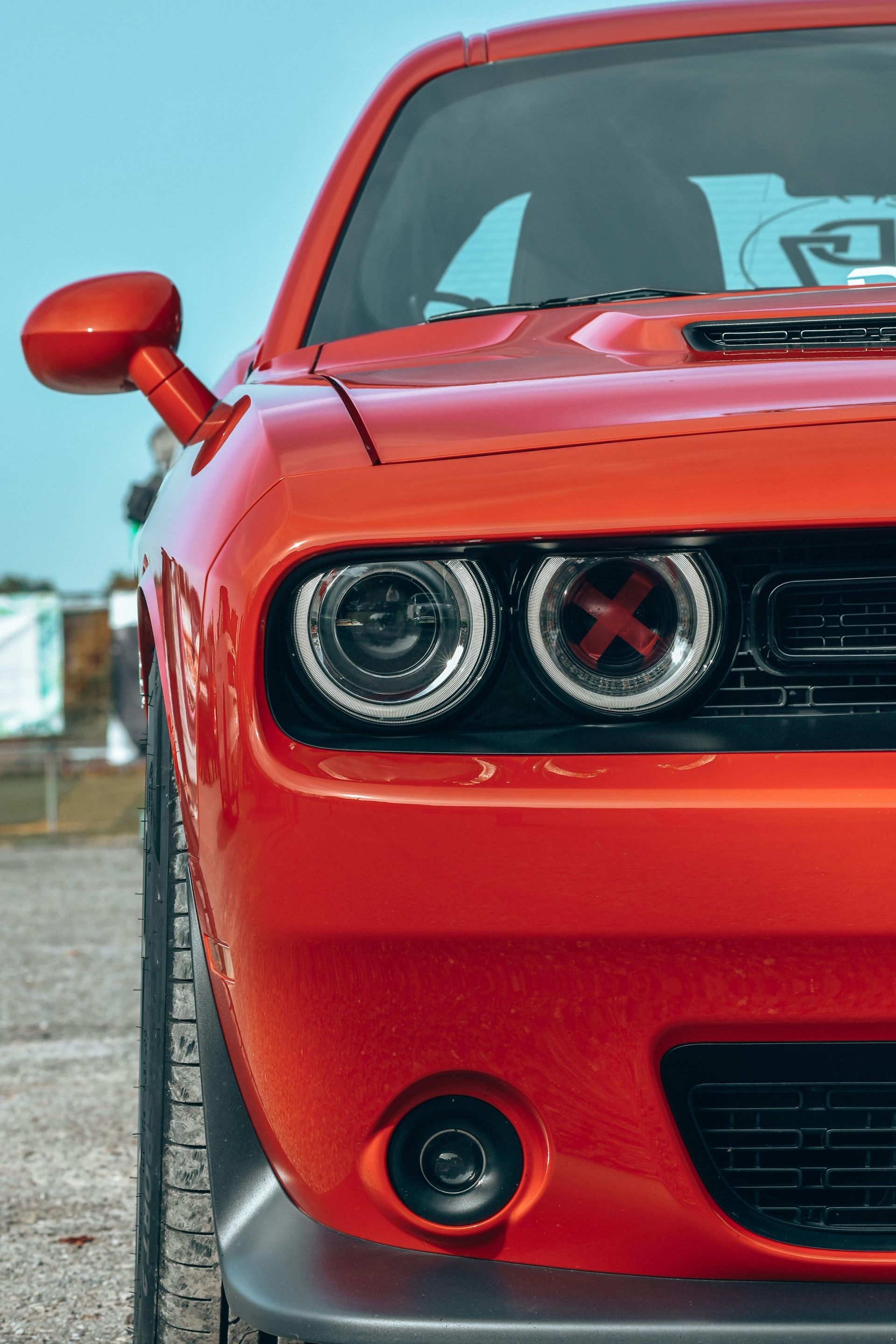 Ceramic coating Palm Harbor