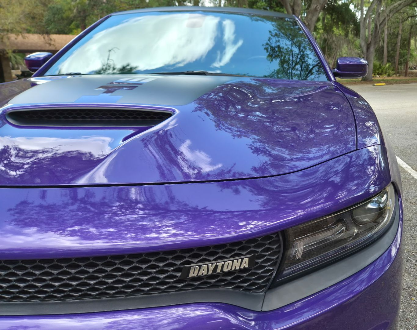 Steve Calafato Ceramic Coating Tampa