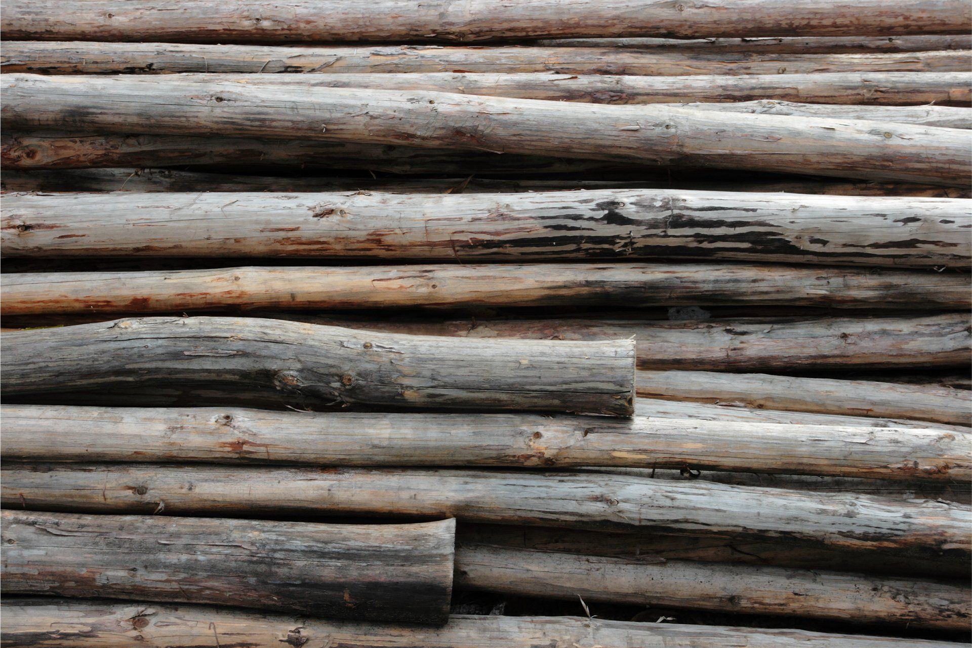 Whole Firewood — Eagan, MN  — Jerry's Garden Center