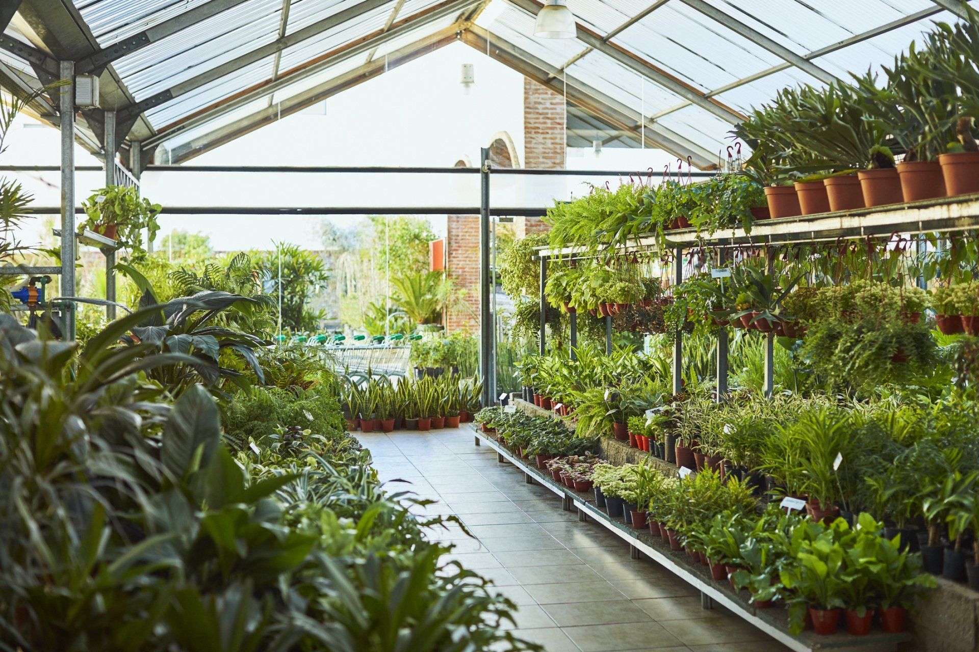 Garden Center — Eagan, MN — Jerry's Garden Center