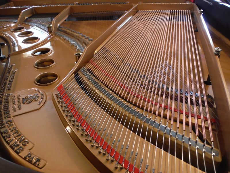 A Close-up of the Inside of a Grand Piano — Oro Valley, Arizona — Dfusco Piano LLC