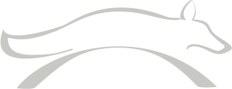 gray fox logo image