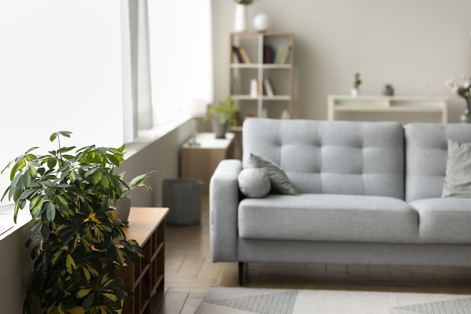 comfortable rental home