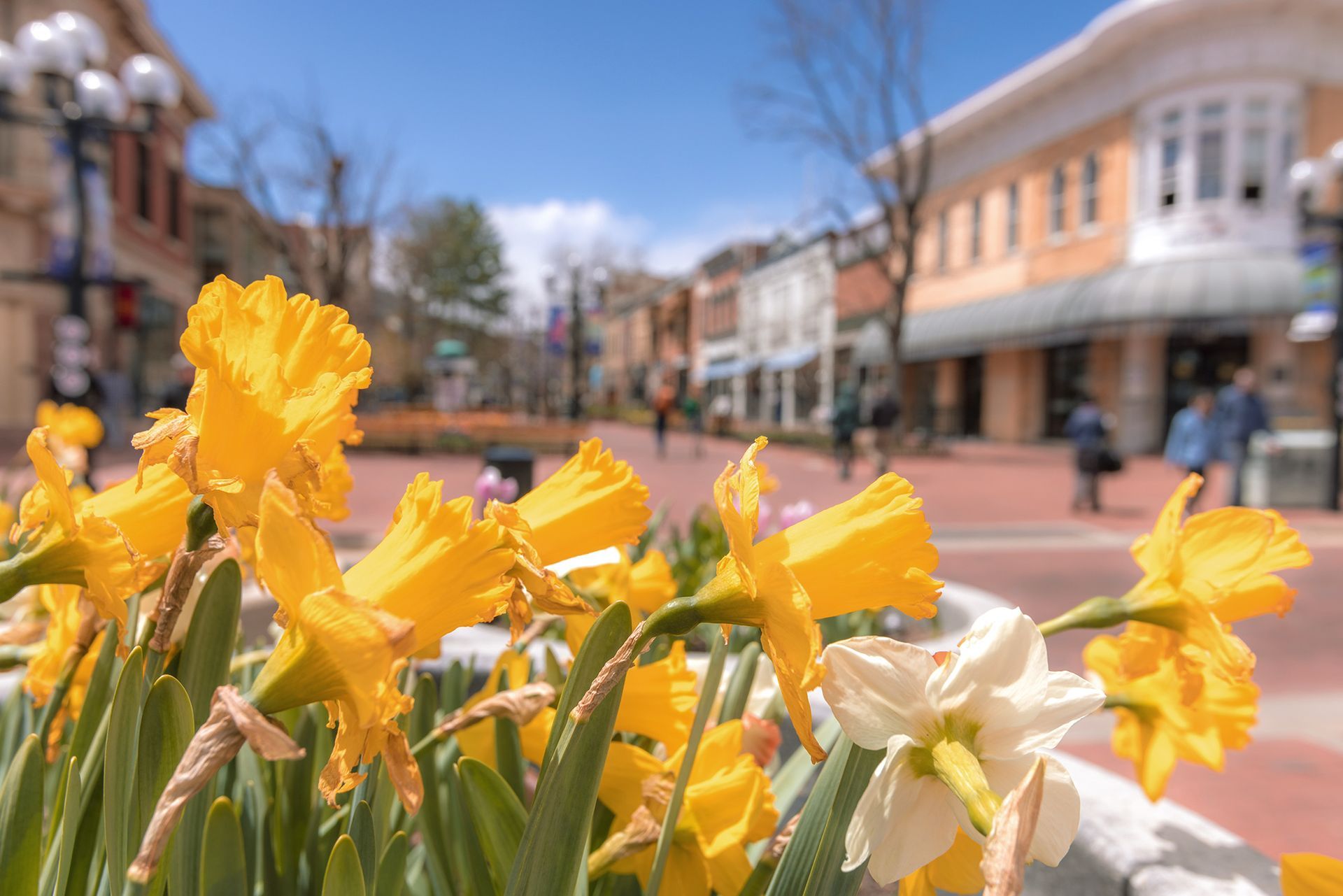 Pearl Street Boulder Colorado
