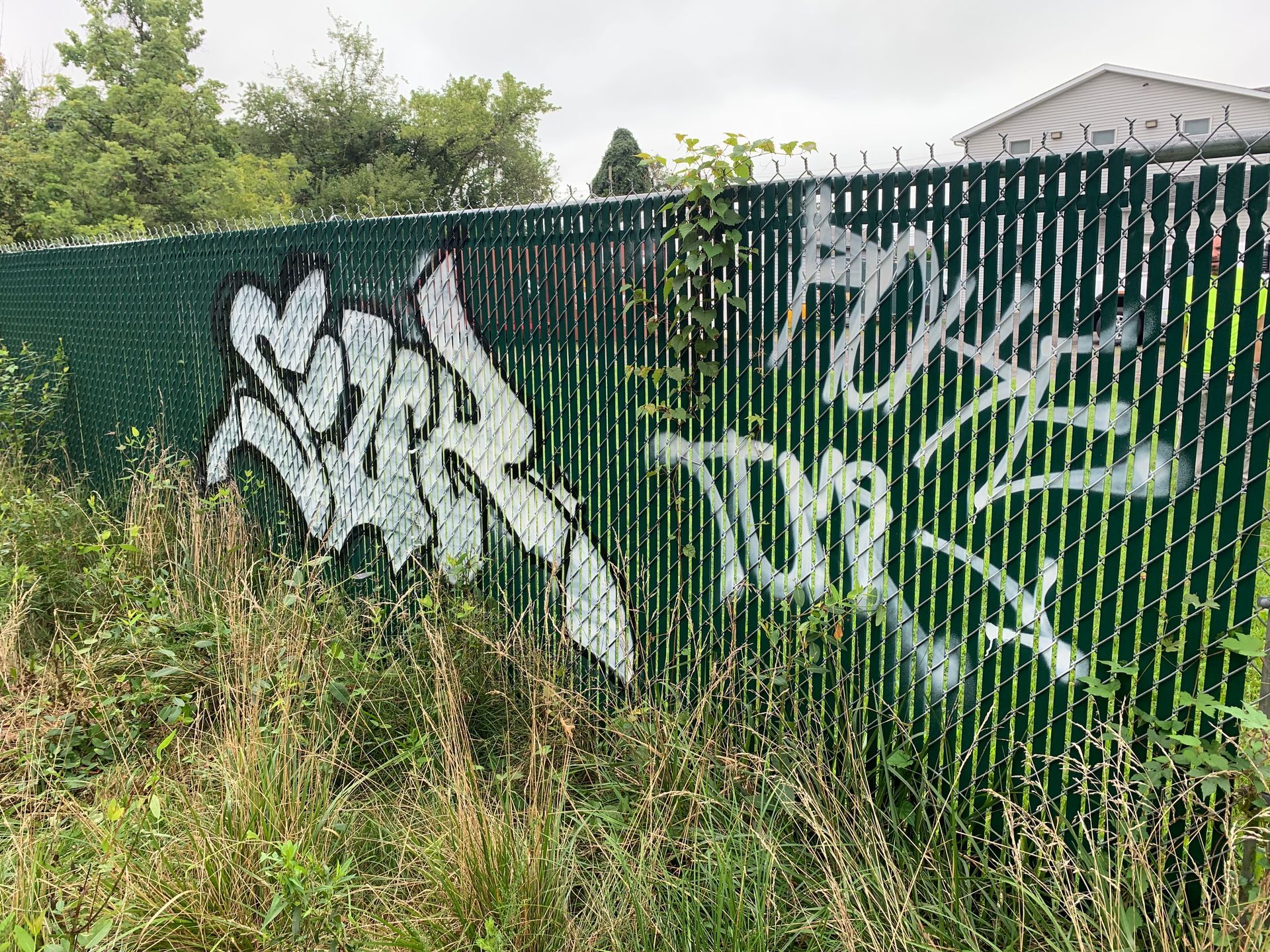 Graffiti in white spray paint on a green chain-link fence, with overgrown weeds in front.