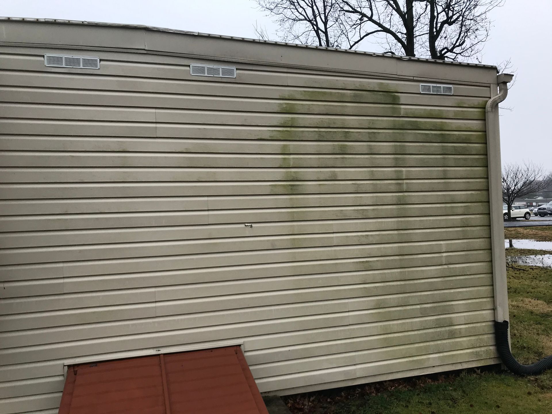 Beige siding of a building with green algae streaks, brown hatch door, and gutter against a cloudy sky.