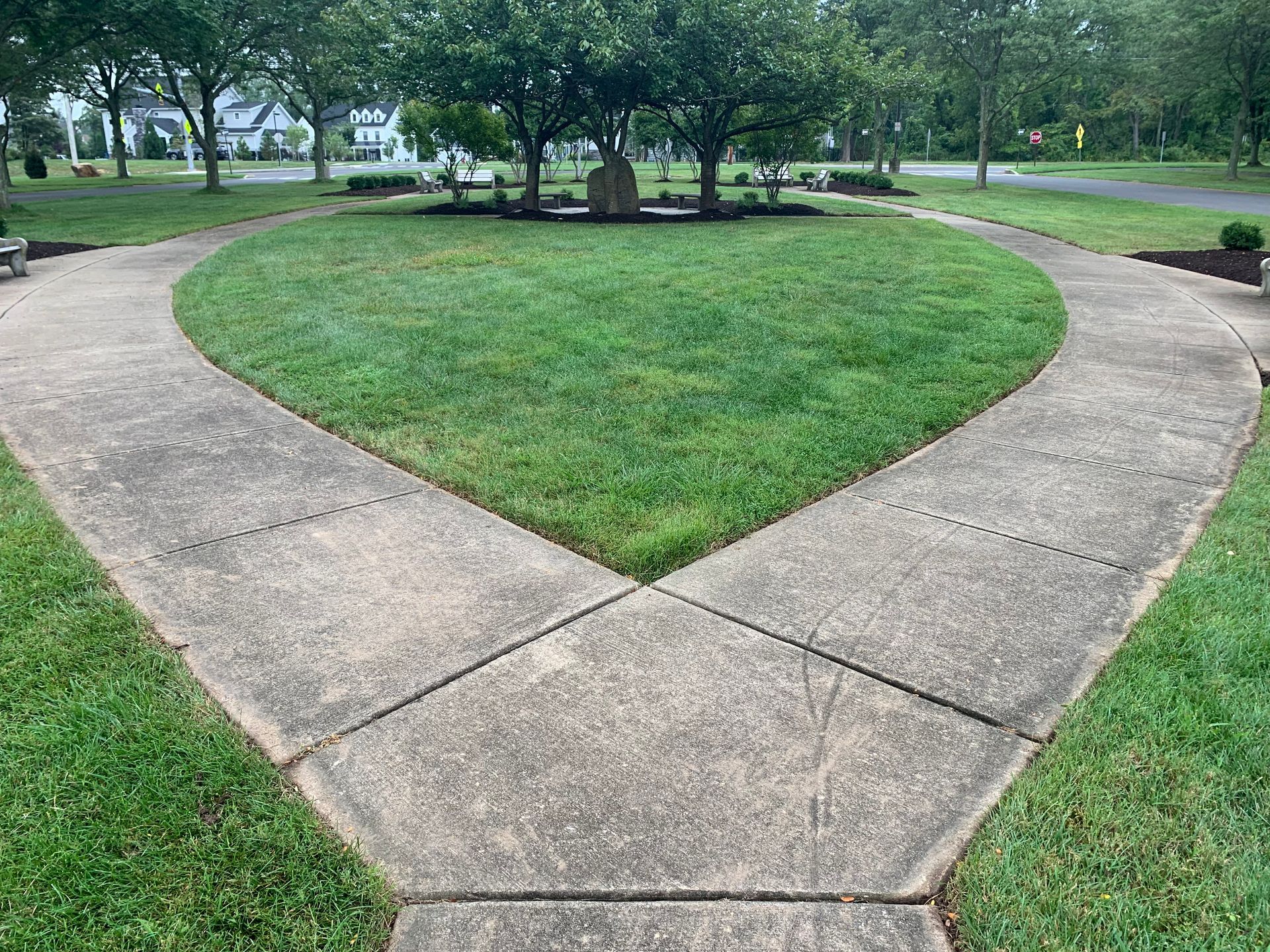 Concrete paths diverge toward a grassy park area with trees and a monument.
