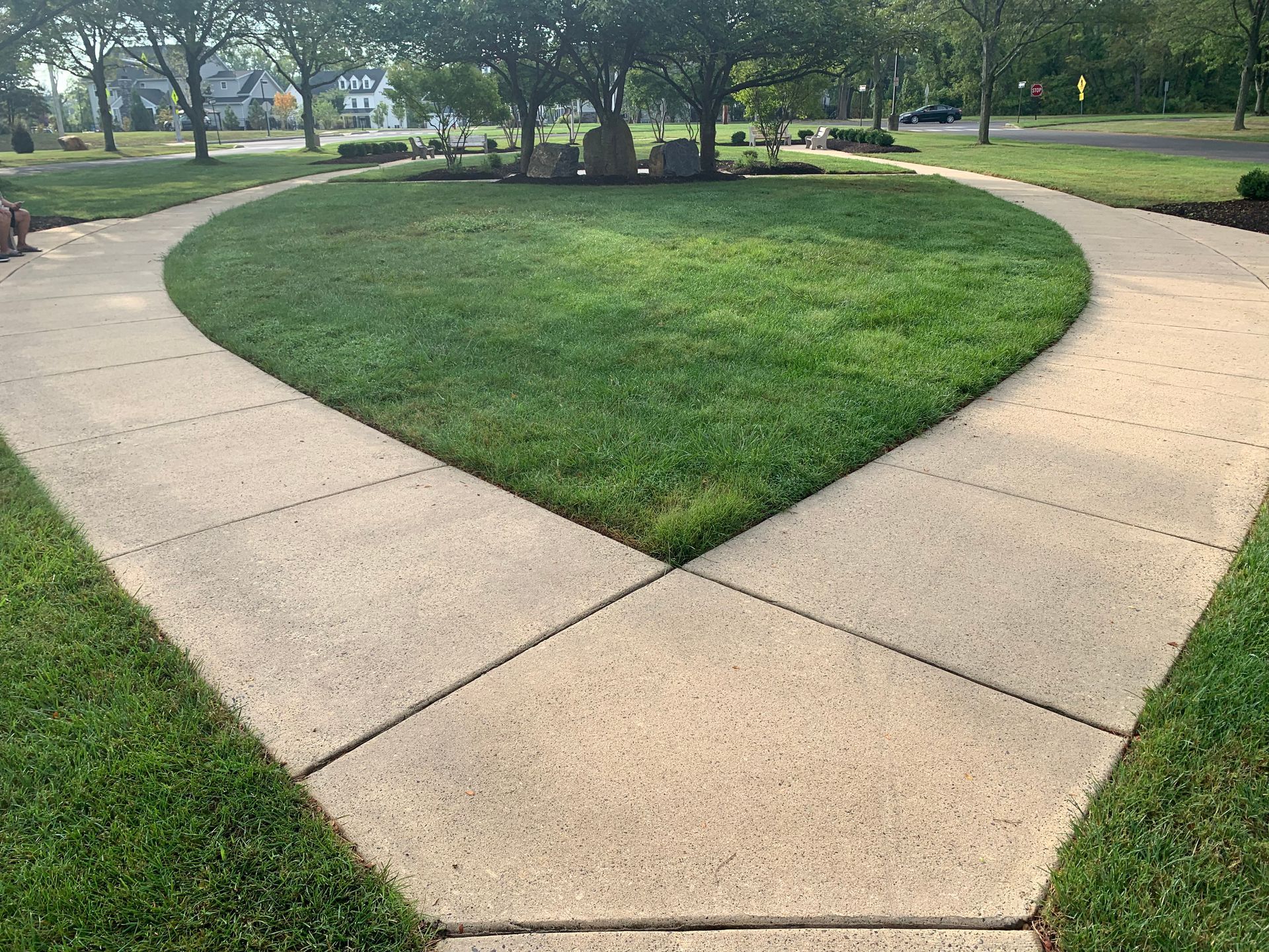 Concrete paths merge around a grassy area with trees; sunny outdoor setting.