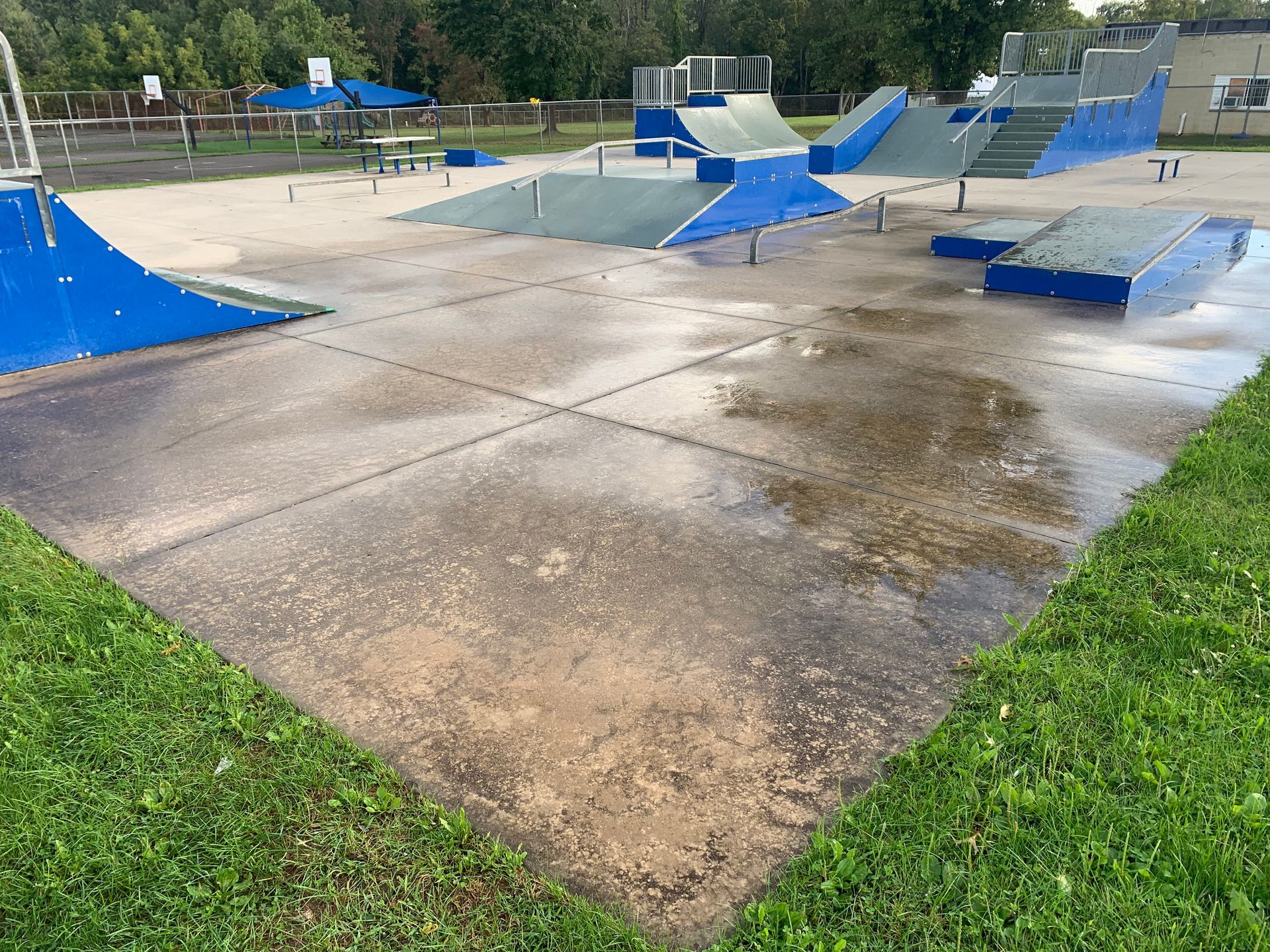 Wet skatepark with blue and gray ramps, surrounded by green grass.