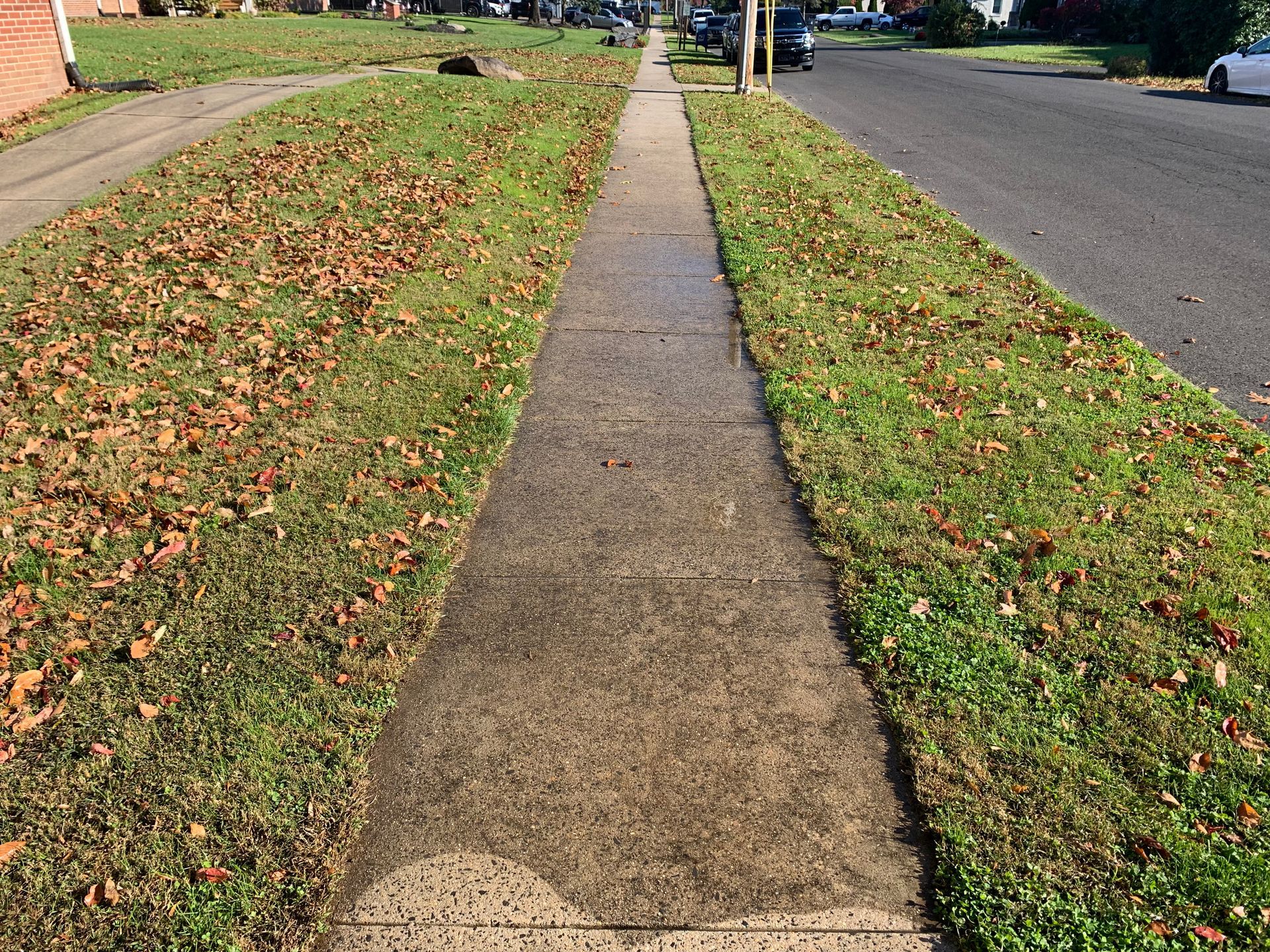 Sidewalk flanked by grassy areas with fallen leaves, street in background.