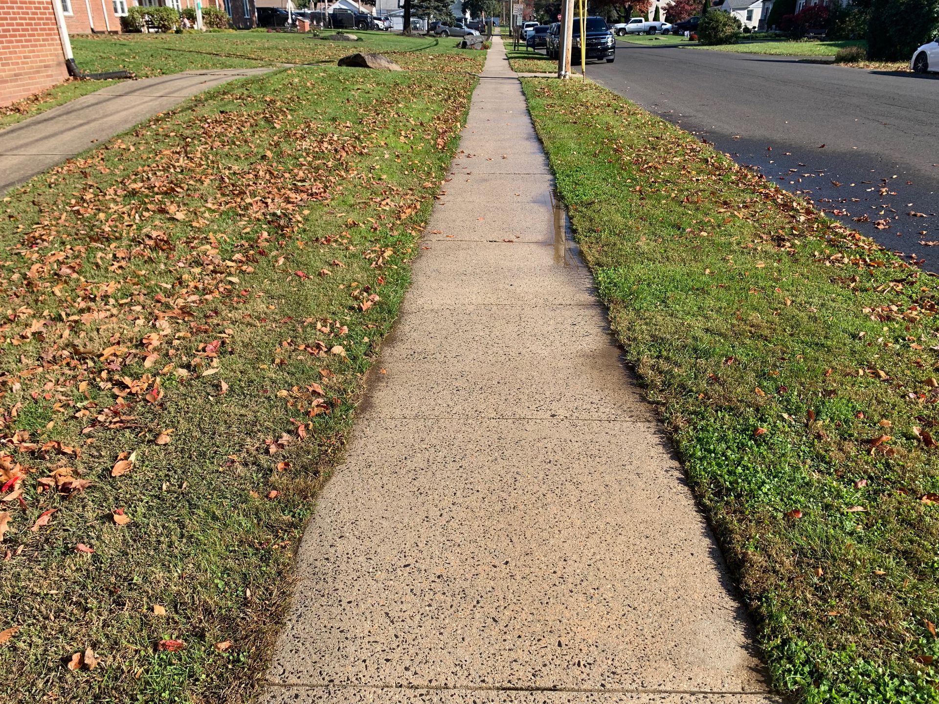 Sidewalk running between grass verges, leaves scattered. Street and houses in the background.