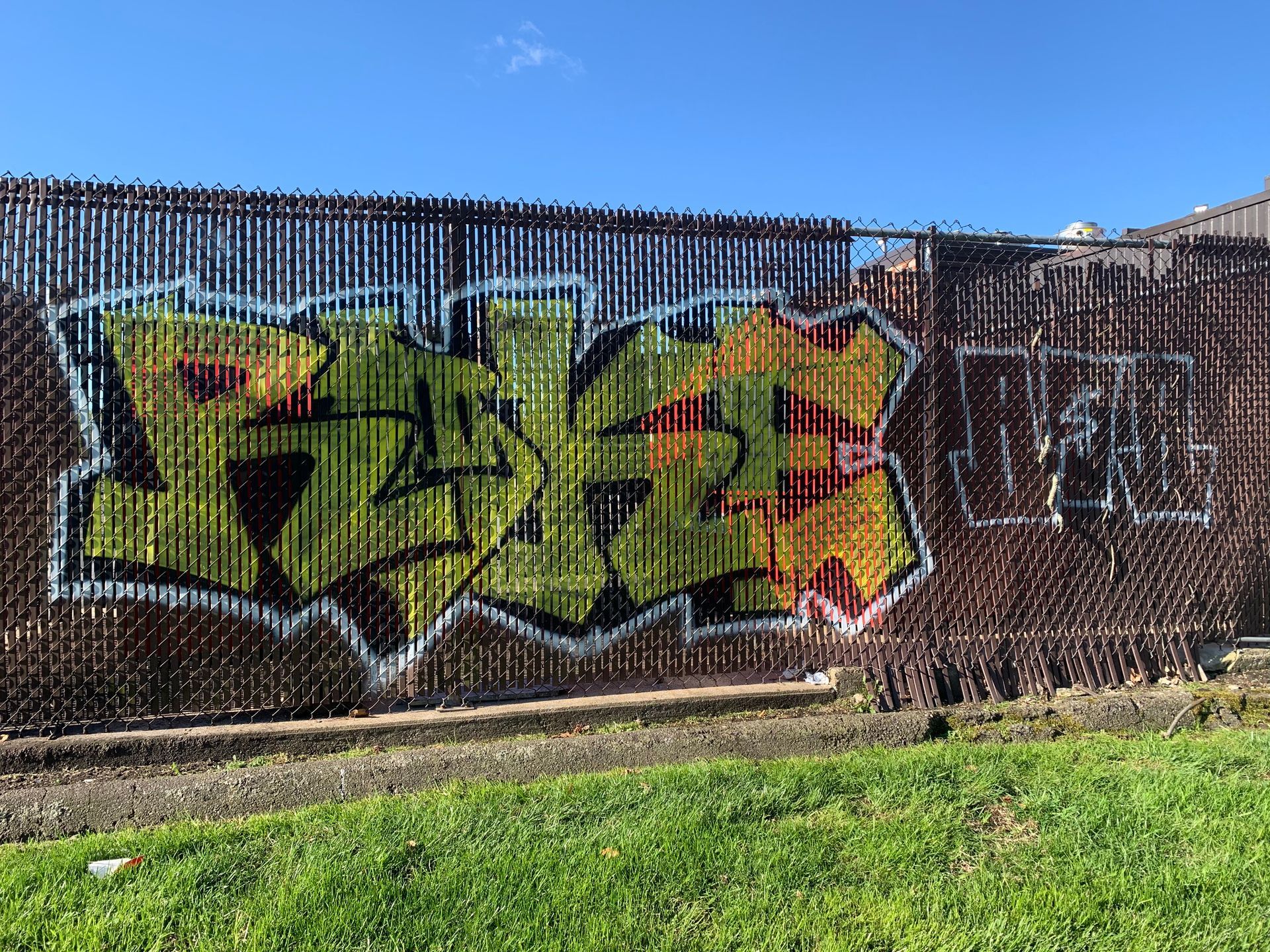 Graffiti on a brown chain-link fence, with green grass in the foreground and a blue sky above.