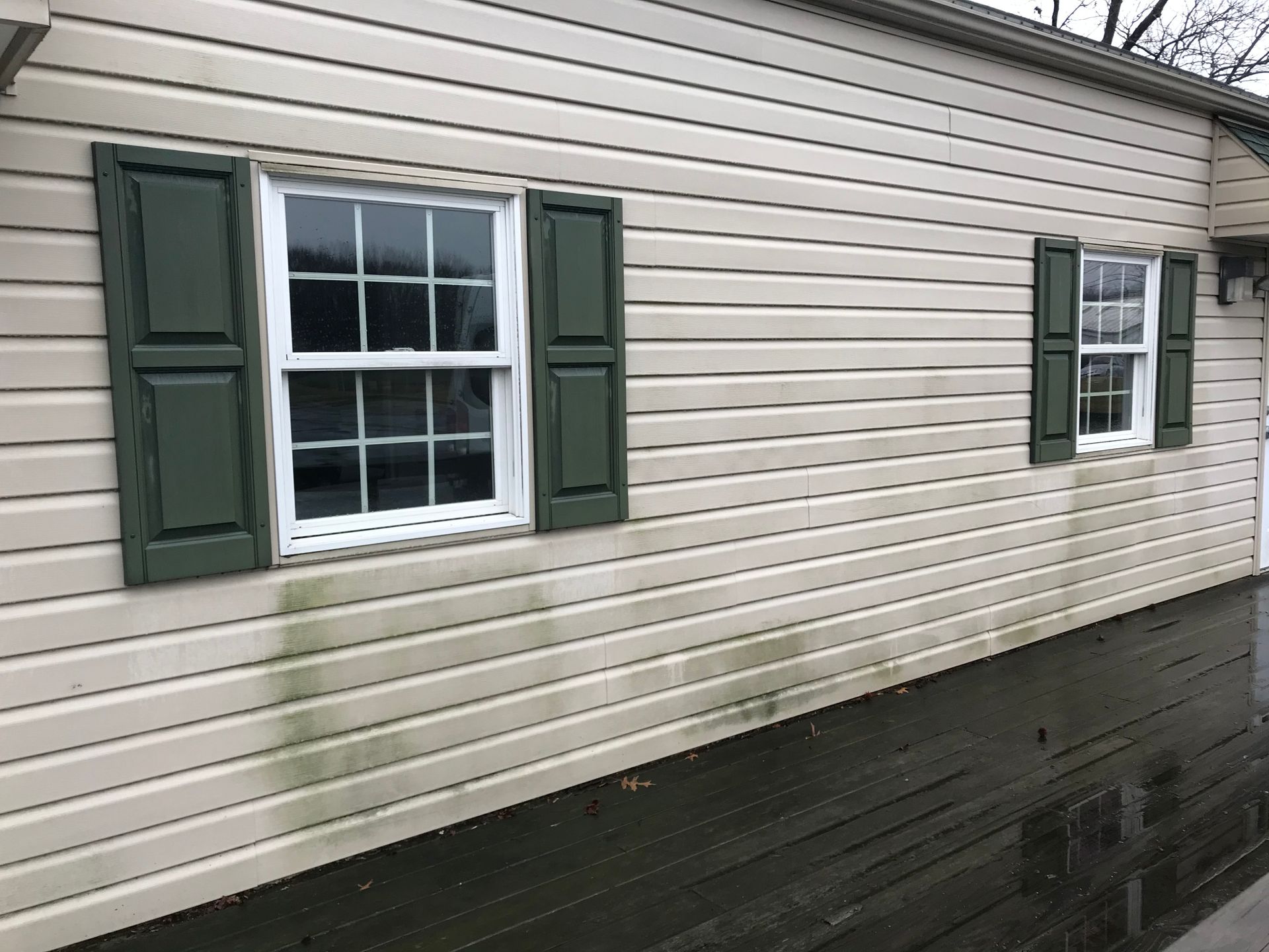 Tan siding with green shutters, two white windows. Green algae stains the siding below the windows.