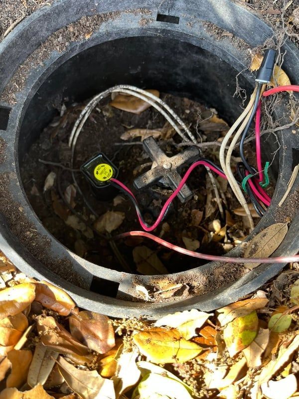 Open utility box with tangled wires and debris inside, surrounded by fallen leaves.