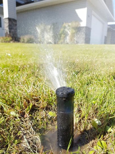 Lawn sprinkler spraying water over green grass in a suburban yard
