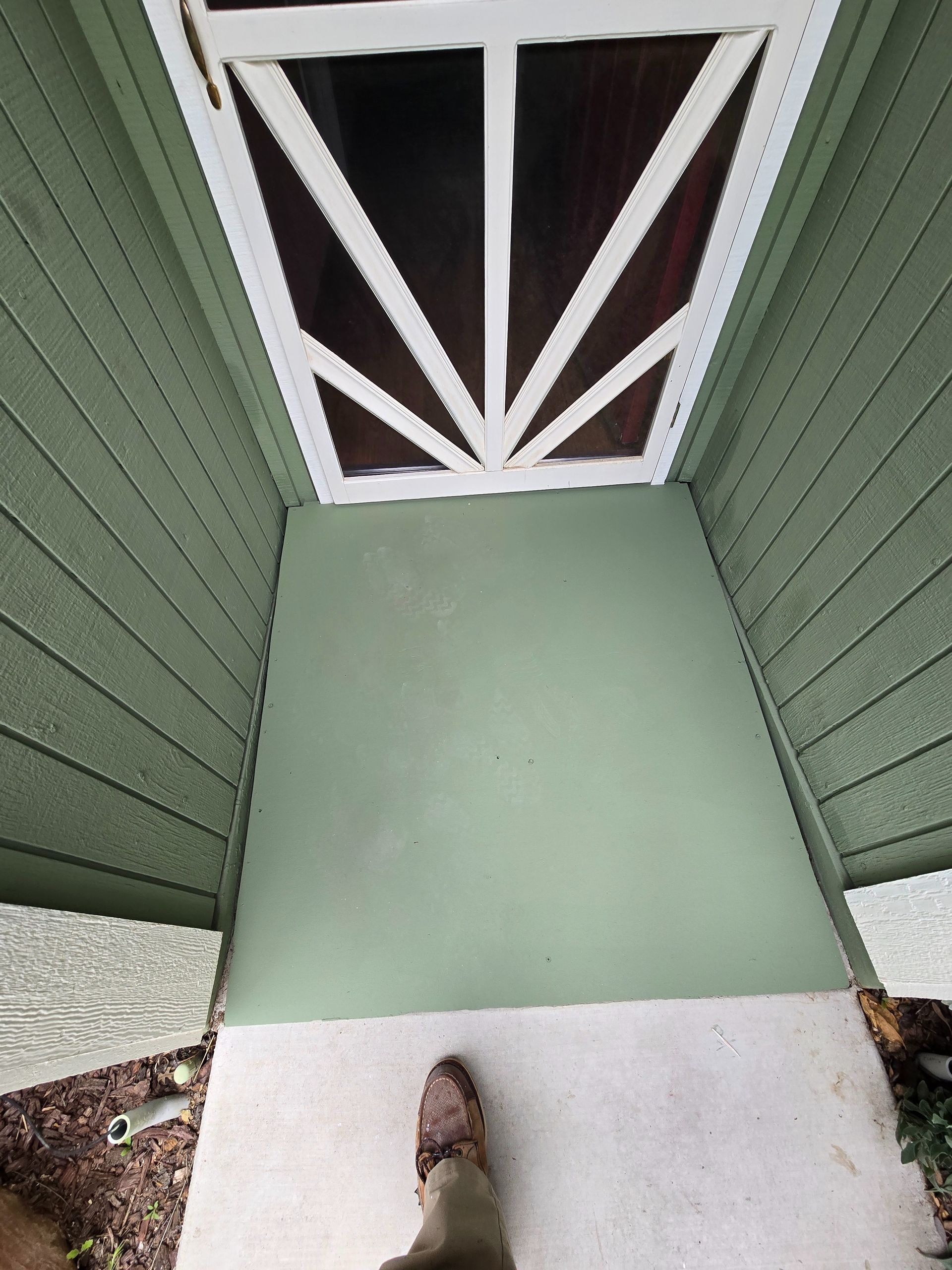 Before picture of the entry door